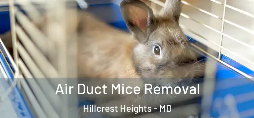  Air Duct Mice Removal Hillcrest Heights - MD