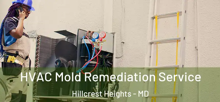  HVAC Mold Remediation Service Hillcrest Heights - MD