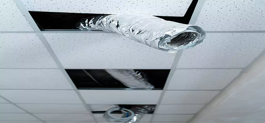 Our Air Duct Pet Hair Removal Services in Hillcrest Heights, MD