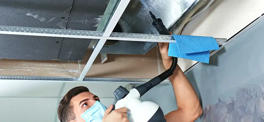 Our Air Duct Rodent Removal Services in Hillcrest Heights, MD