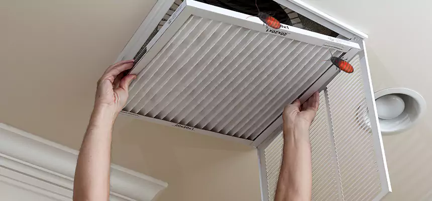 Our Insect Removal from Air Ducts Services in Hillcrest Heights, MD