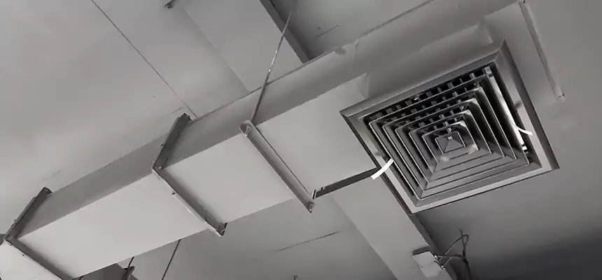 Our Rodent Droppings In Vents Services in Hillcrest Heights, MD