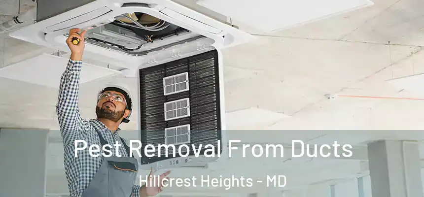 Pest Removal From Ducts Hillcrest Heights - MD
