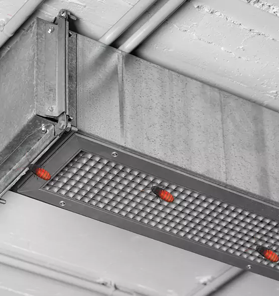 About Air Duct Cockroach Removal in Hillcrest Heights, MD