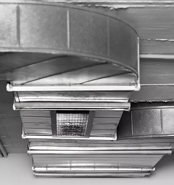 Professional Air Duct Pet Hair Removal in Hillcrest Heights, MD