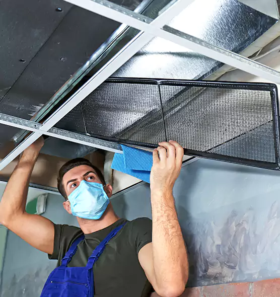 Professional Air Duct Pollen Cleaning in Hillcrest Heights, MD