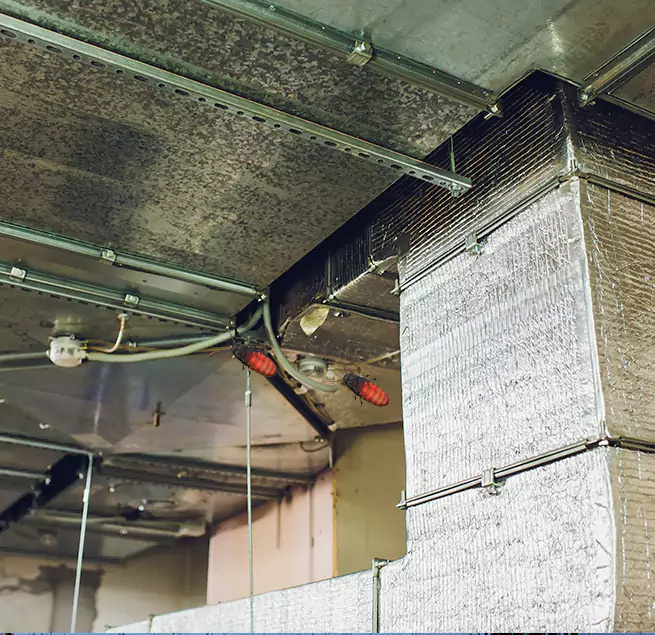 Why Homeowners & Businesses Trust Us in Hillcrest Heights, MD?