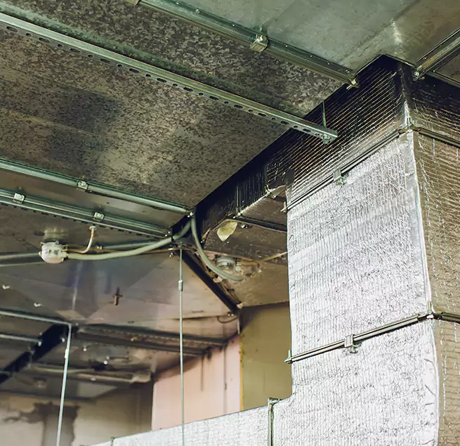 Why Homeowners & Businesses Trust Us in Hillcrest Heights, MD?